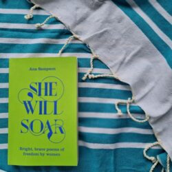 Teal Zebra Original Fouta